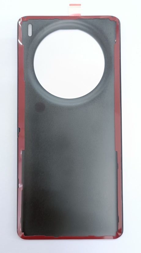 Back Panel Glass for Vivo X100 Blue Zeespares