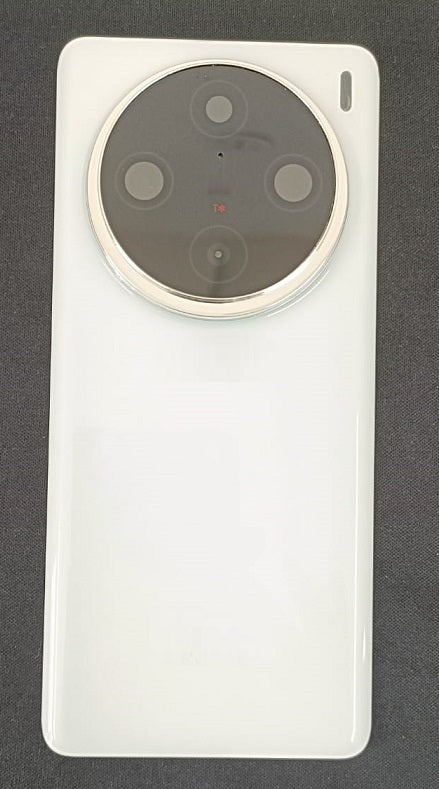 Back Panel With Camera Glass for Vivo X100 Pro White